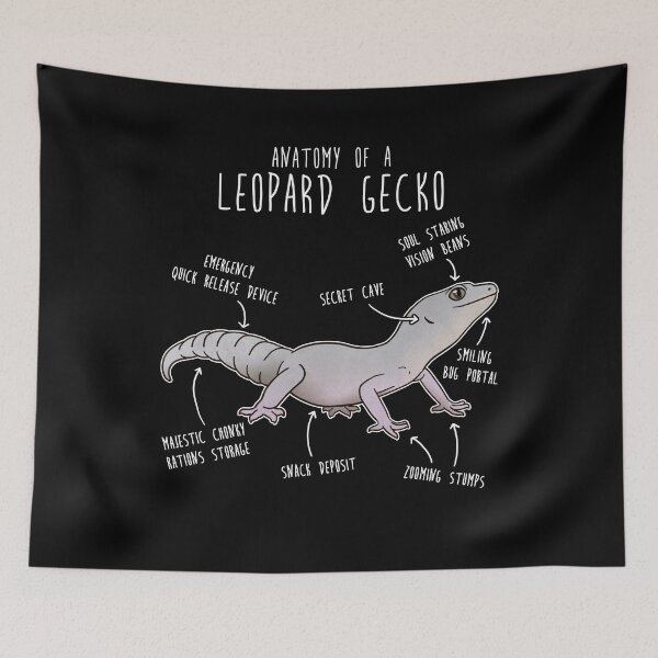 Item preview, Blizzard Leopard Gecko Lizard Reptile Anatomy designed and sold by Clara Hollins.