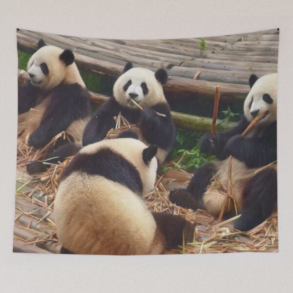 Item preview, Pandas Eating Bamboo designed and sold by TheAnimalZ00.