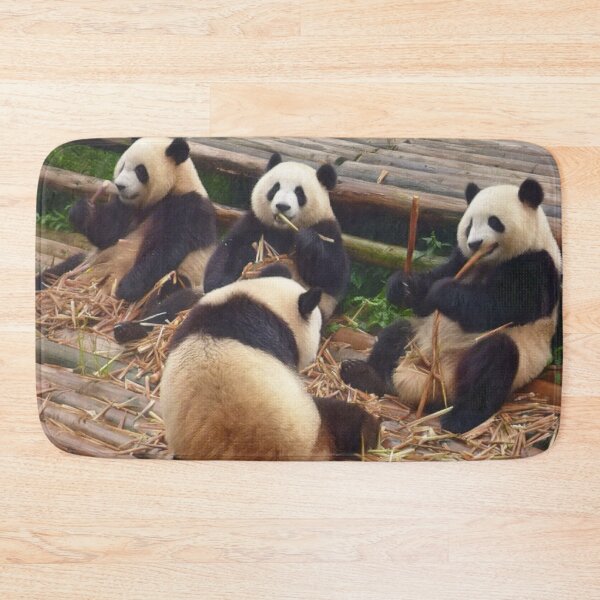 Item preview, Pandas Eating Bamboo designed and sold by TheAnimalZ00.