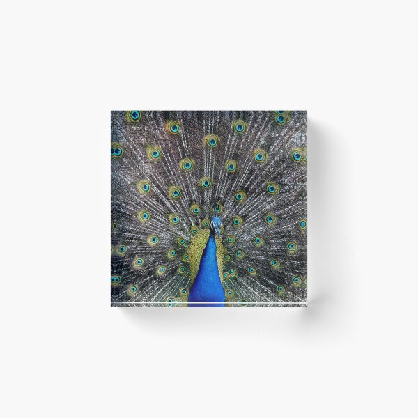 Item preview, Peacock designed and sold by Oliveirallan.