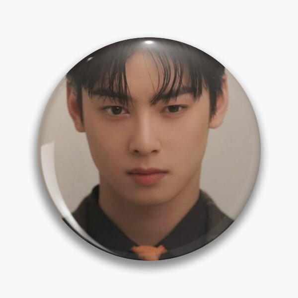 Pin on Cha eun woo