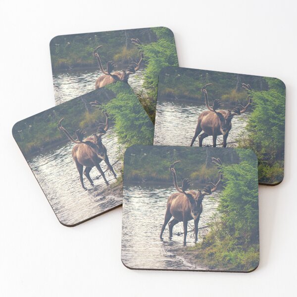 Item preview, Moose In The Wild designed and sold by TheAnimalZ00.