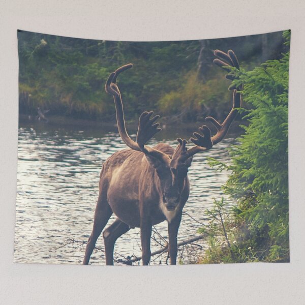 Item preview, Moose In The Wild designed and sold by TheAnimalZ00.