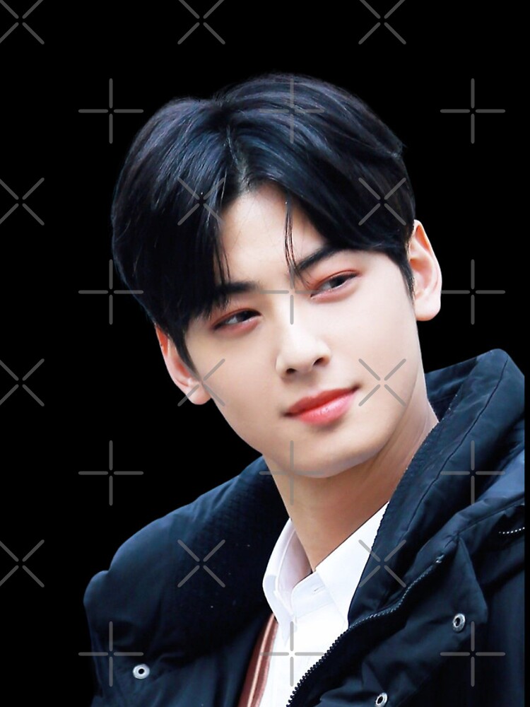 Cha Eun Woo - V8 Sticker for Sale by shoppinggalore