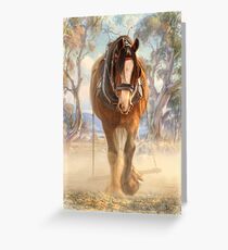 The Clydesdale Greeting Card