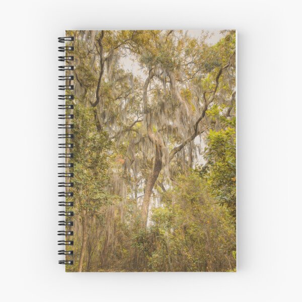 Item preview, Cloaked Trees designed and sold by John Bailey.