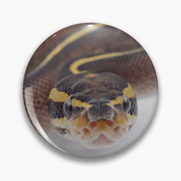 Item preview, Freeway Ball Python designed and sold by Kayleigh Wilson.