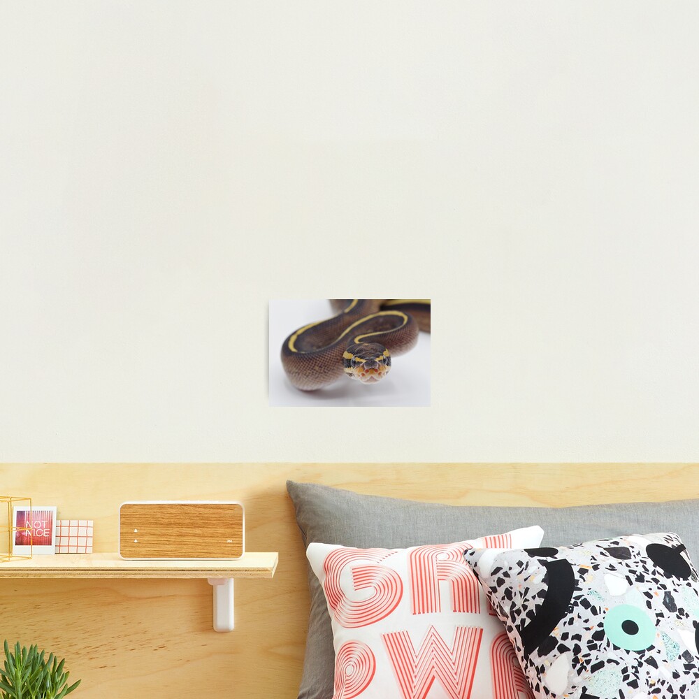 Item preview, Photographic Print designed and sold by Kayleigh-Wilson.