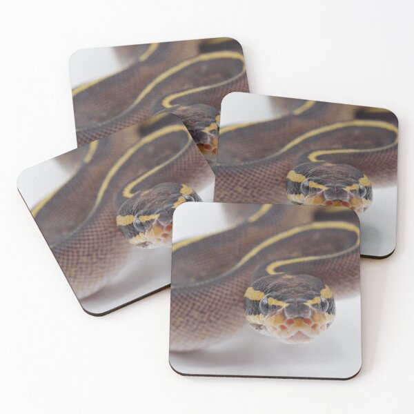 Item preview, Freeway Ball Python designed and sold by Kayleigh Wilson.