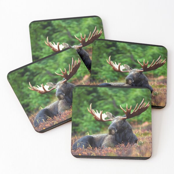 Item preview, Resting Moose  designed and sold by TheAnimalZ00.
