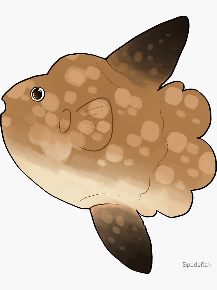 "Mola Mola" Sticker for Sale by Spadefish | Redbubble