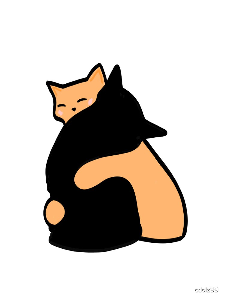 orange and black cat hug