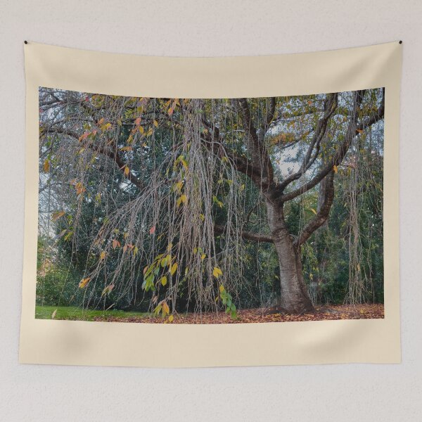 Item preview, Flowing branches at Nooroo Gardens designed and sold by Mrtweety.