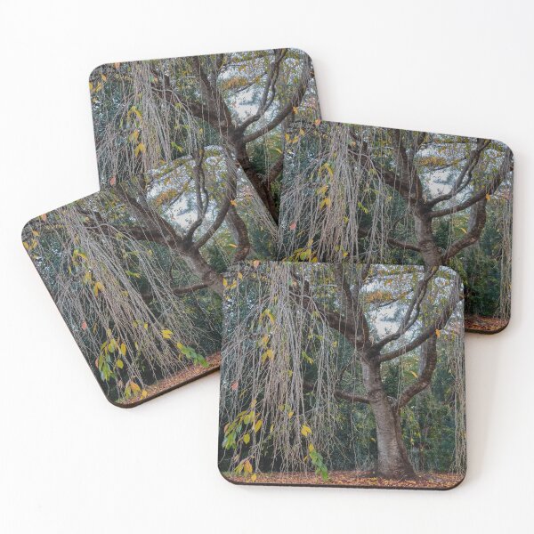 Item preview, Flowing branches at Nooroo Gardens designed and sold by Mrtweety.