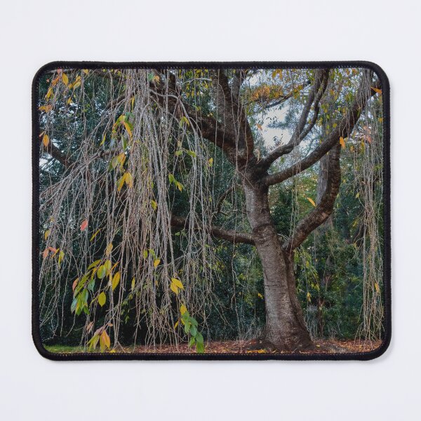 Item preview, Flowing branches at Nooroo Gardens designed and sold by Mrtweety.