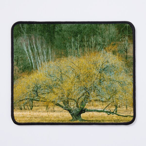 Item preview, Lone yellow tree walll print designed and sold by Bettie-Scott.