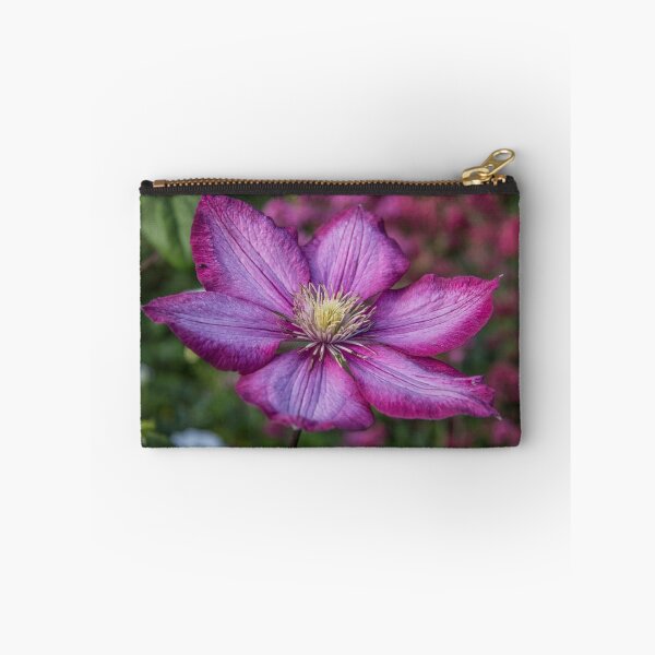 Item preview, Pink Clematis - Flower Photography designed and sold by Pixie Copley LRPS.