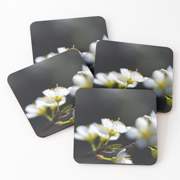 Item preview, Backlighting Spring White Blossom designed and sold by Joy Watson - Natural Light Photography .