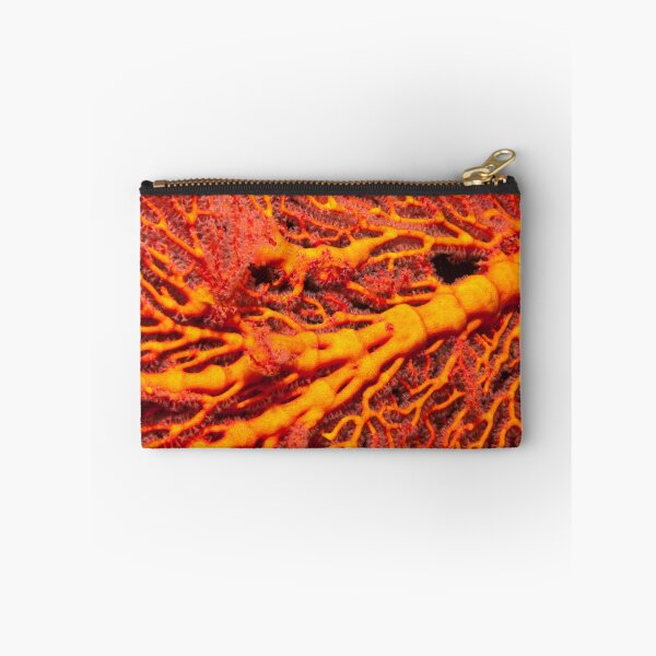 Item preview, Fan of Fire designed and sold by NicUnderwater.