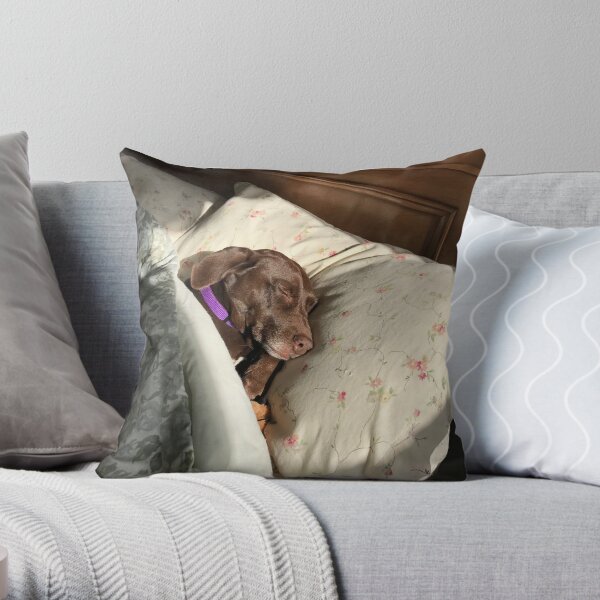 Let Sleeping Dogs Lie Throw Pillow