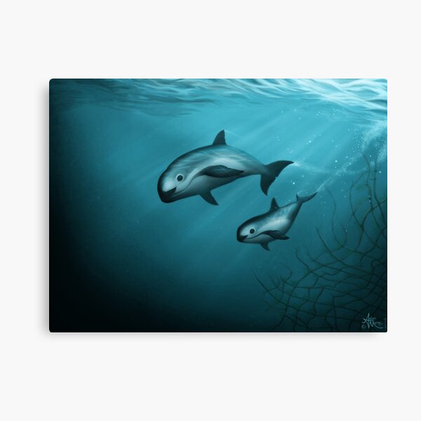 Treacherous Waters - Vaquita Porpoise Art (Copyright 2015) Original Digital Painting by artist Amber Marine Canvas Print