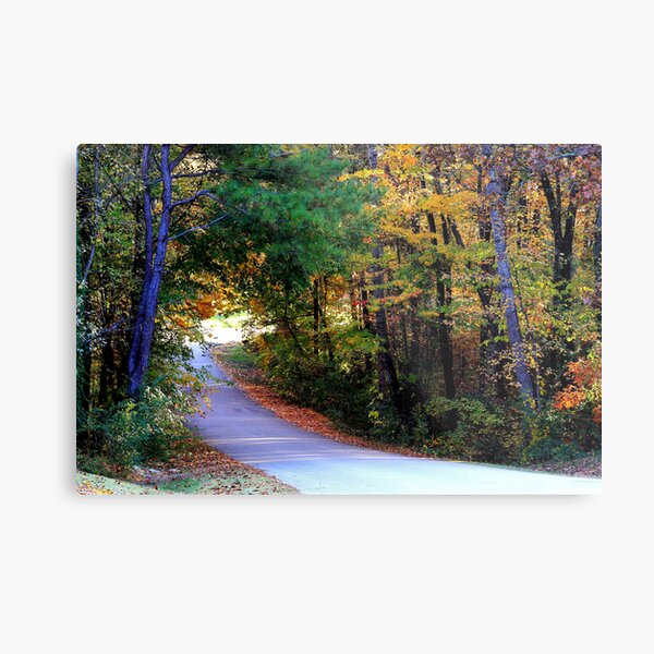 Natchez Trace Lane Metal Print