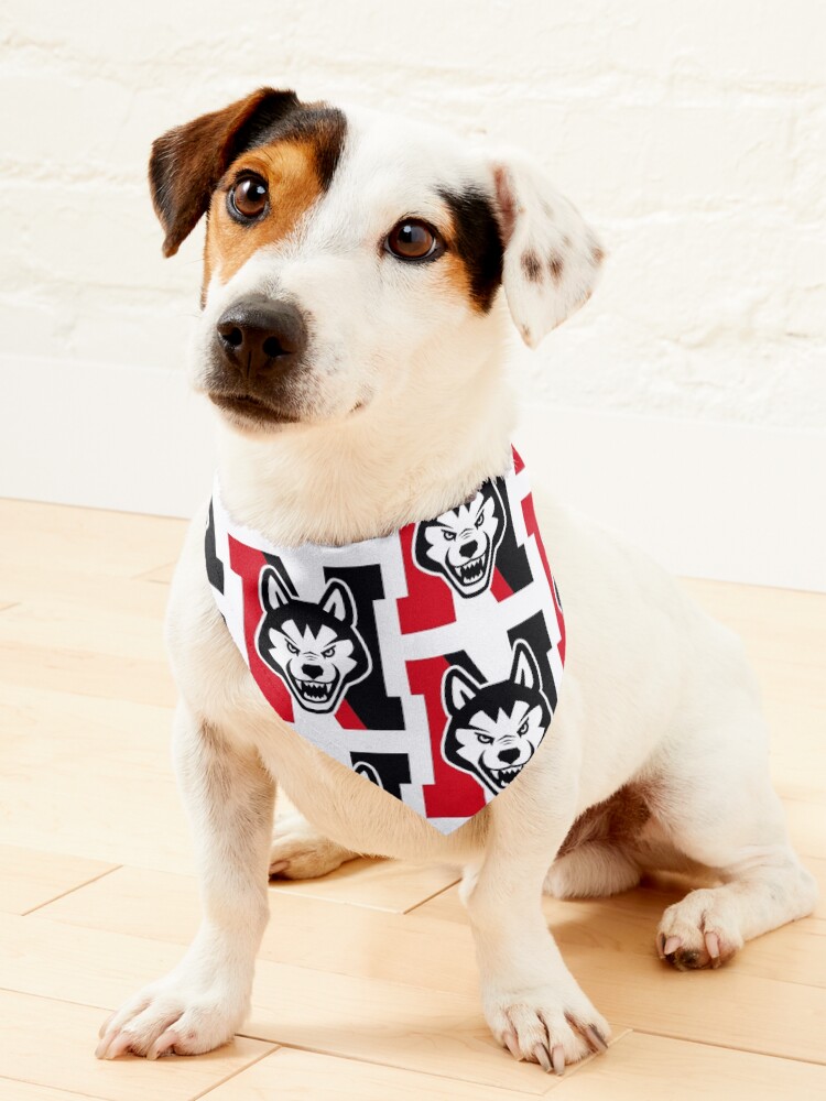 Red sox best sale dog bandana