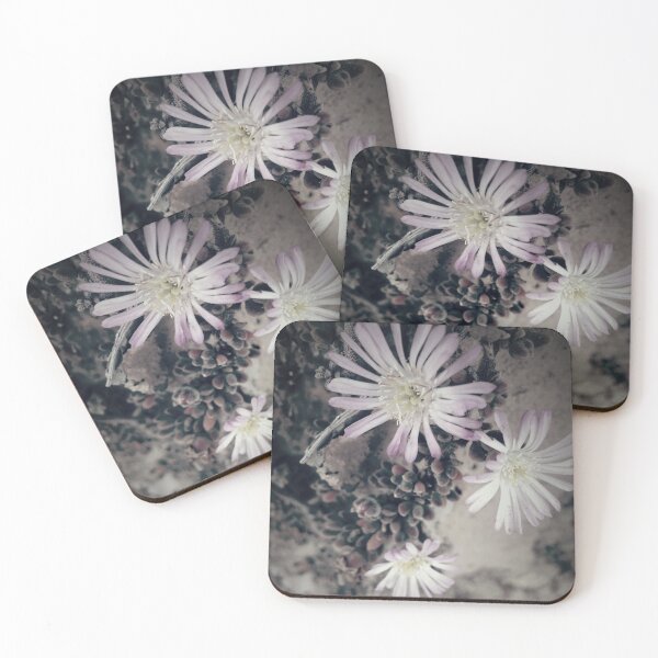 Item preview, Pink Succulent Flower Blossom designed and sold by Nalinne Jones.