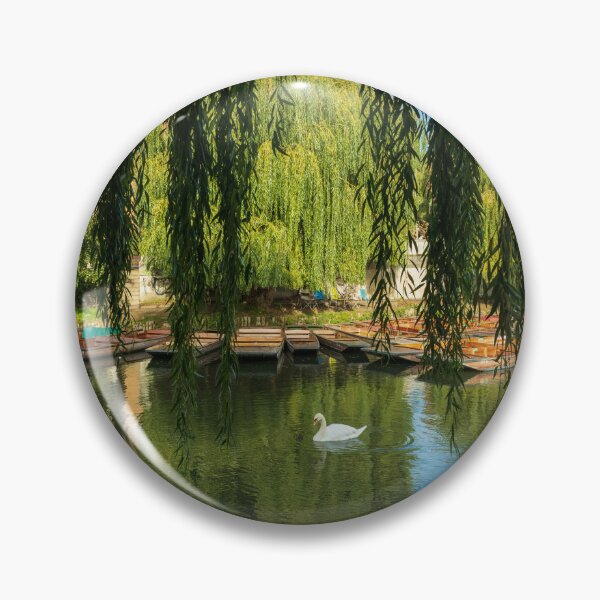 Item preview, Swans on The Cam  designed and sold by TravellingFatmn.