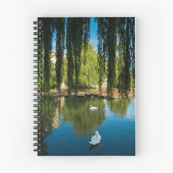 Item preview, Swans on The Cam  designed and sold by TravellingFatmn.