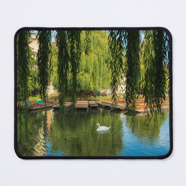 Item preview, Swans on The Cam  designed and sold by TravellingFatmn.