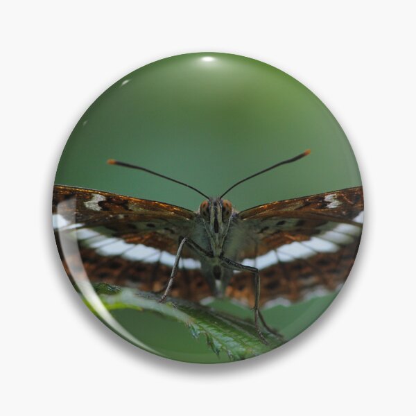 Item preview, limenitis stretcher designed and sold by iago rodriguez dopico.