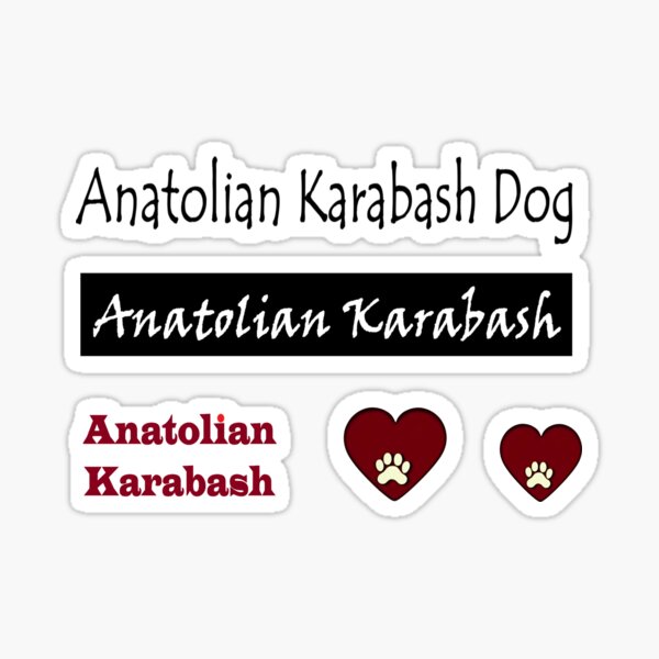 Artikel-Vorschau von Anatolisches Karabash-Textdesign, designt und verkauft von tchilipepper.