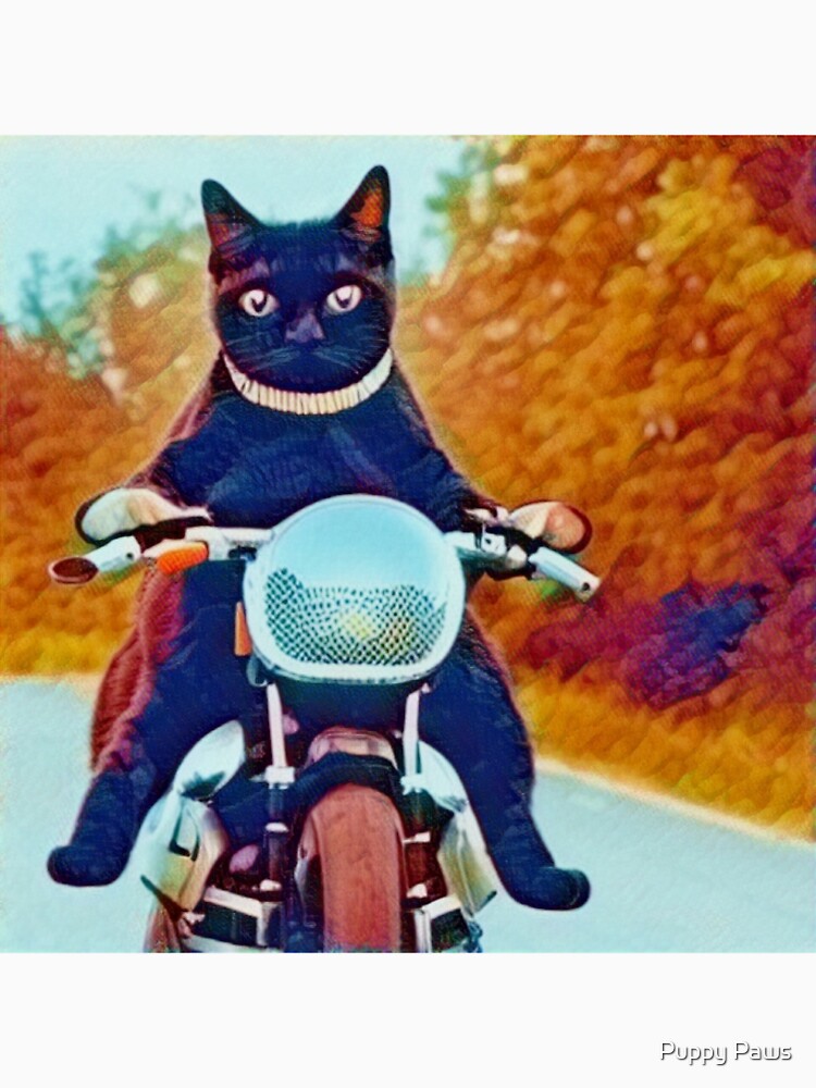 Cat riding Motorcycle by Jeany35