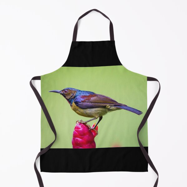 Item preview, Brown-throated Sunbird designed and sold by TravellingFatmn.