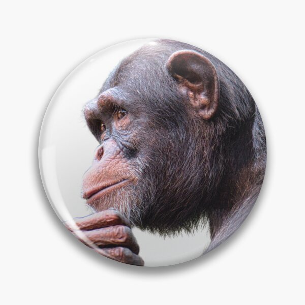 Item preview, Pondering Ape Print - For a chimpanzee lover, for a nature lover, for a conservationist. designed and sold by Wentoo.