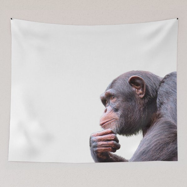 Item preview, Pondering Ape Print - For a chimpanzee lover, for a nature lover, for a conservationist. designed and sold by Wentoo.