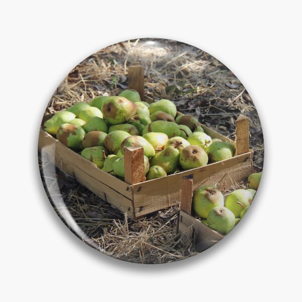 Artikelvorschau, Organic Williams Pear in Boxes entworfen und verkauft von Angela Cini.