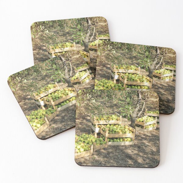 Item preview, Williams Pear Fruit in Boxes and Trees designed and sold by Angela Cini.