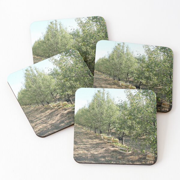 Item preview, Williams Pear Fruit in Boxes and Trees in Orchard designed and sold by Angela Cini.