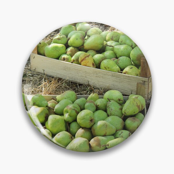 Artikelvorschau, Williams Pear Fruit in Boxes and Trees in Orchard entworfen und verkauft von Angela Cini.