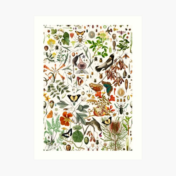 Biology 101 Art Print
