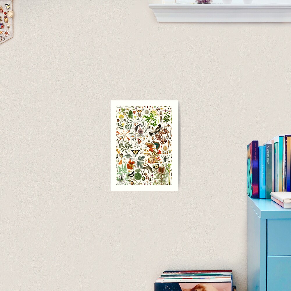 Biology 101 Art Print
