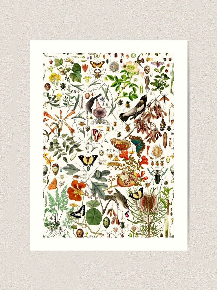 Alternate view of Biology 101 Art Print