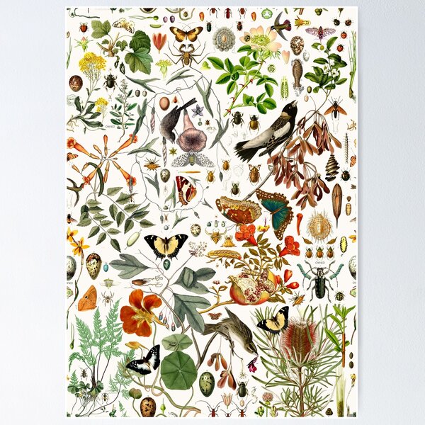 Item preview, Biology 101 designed and sold by Leo Rolph.