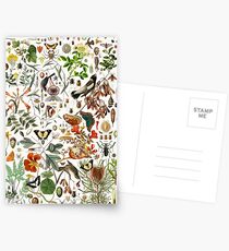 Biology 101 Postcards