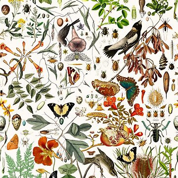 Artwork thumbnail, Biology 101 by Leo Rolph