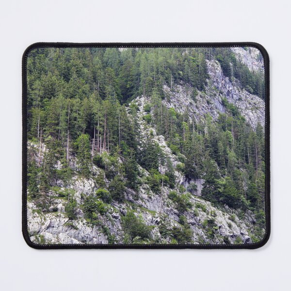 Item preview, Pine Forest with Rocks on the Mountain designed and sold by Angela Cini.