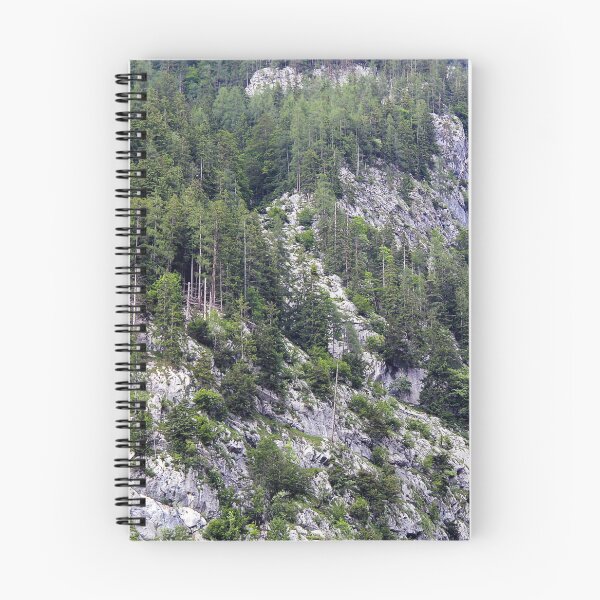 Item preview, Pine Forest with Rocks on the Mountain designed and sold by Angela Cini.