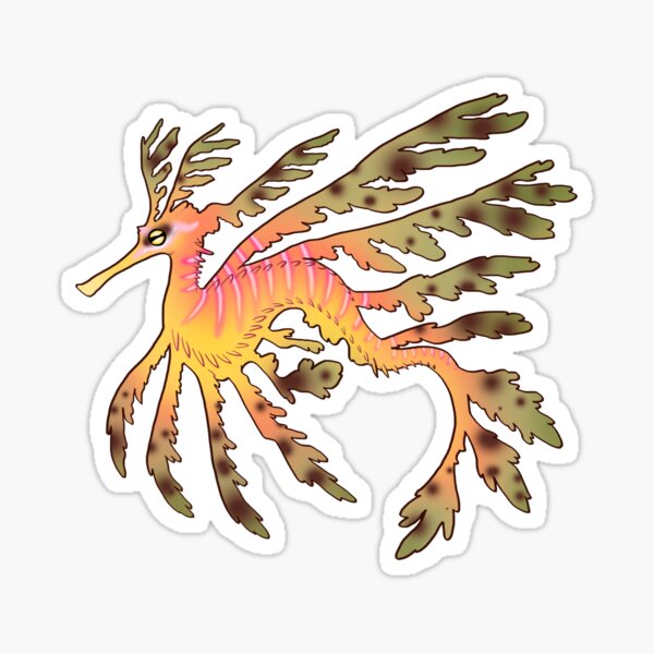 Leafy Sea Dragon Sticker